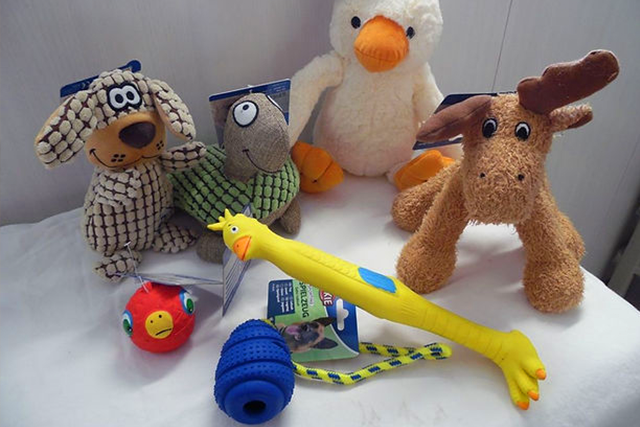 bilderleiste3_monas_hundeshop_bausteineig_640x427